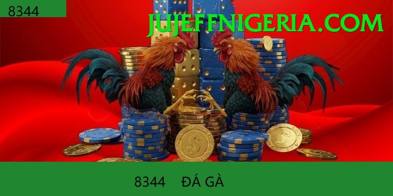 Đá Gà Trực Tiếp - Ưu đãi đặc biệt